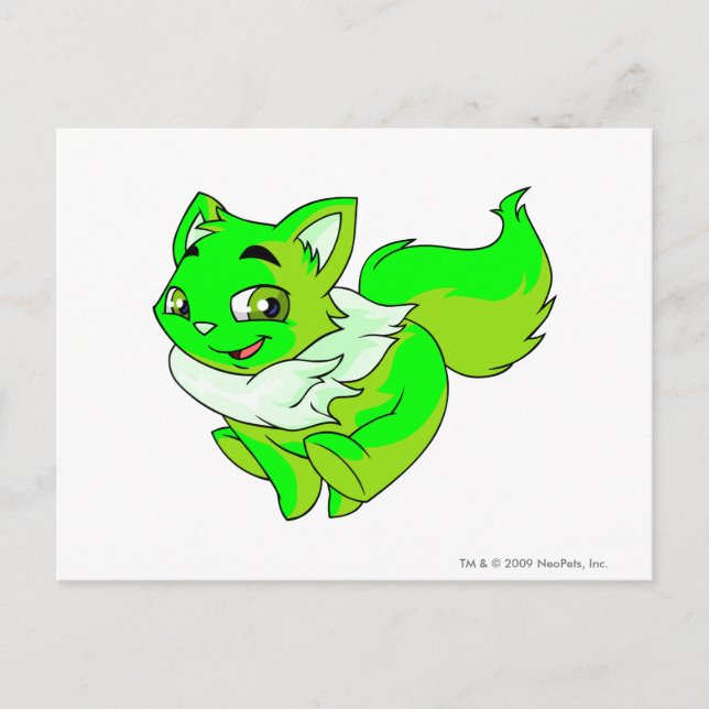 Carte Postale Wocky Glower (Devant)