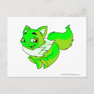 Carte Postale Wocky Glower