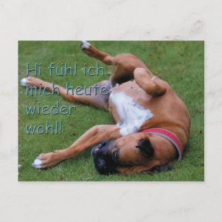 Carte Postale Wohlfühlboxer