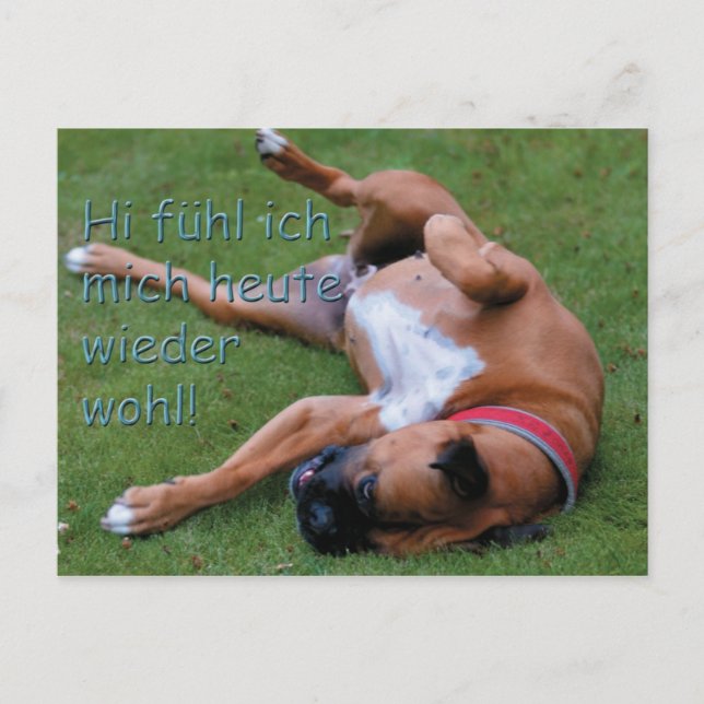 Carte Postale Wohlfühlboxer (Devant)