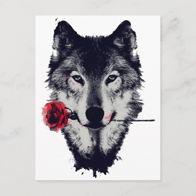 Carte Postale Wolf (Devant)
