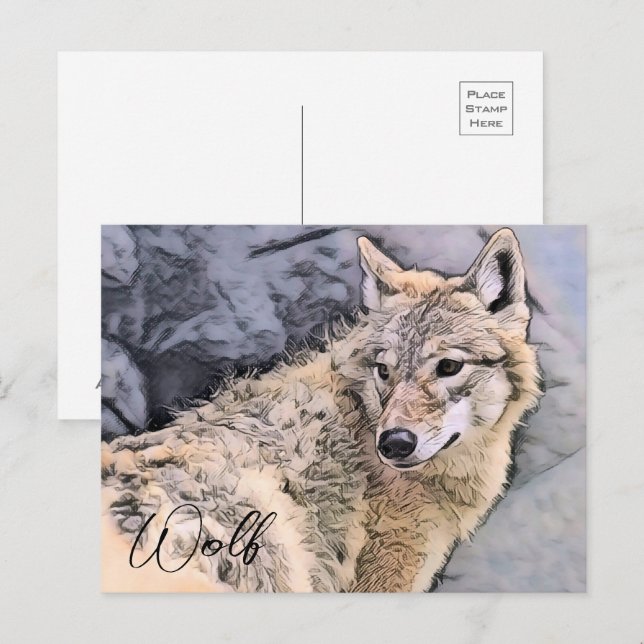 Carte Postale Wolf (Devant / Derrière)