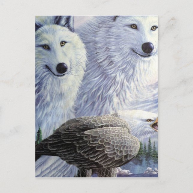 Carte Postale Wolf Eagle Animaux Parc naturel Bureau des affaire (Devant)