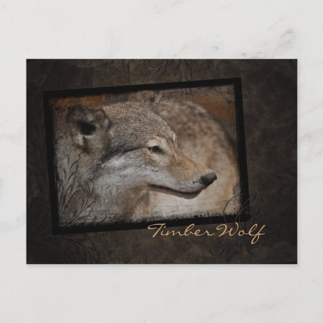 Carte postale Wolf en bois (Devant)