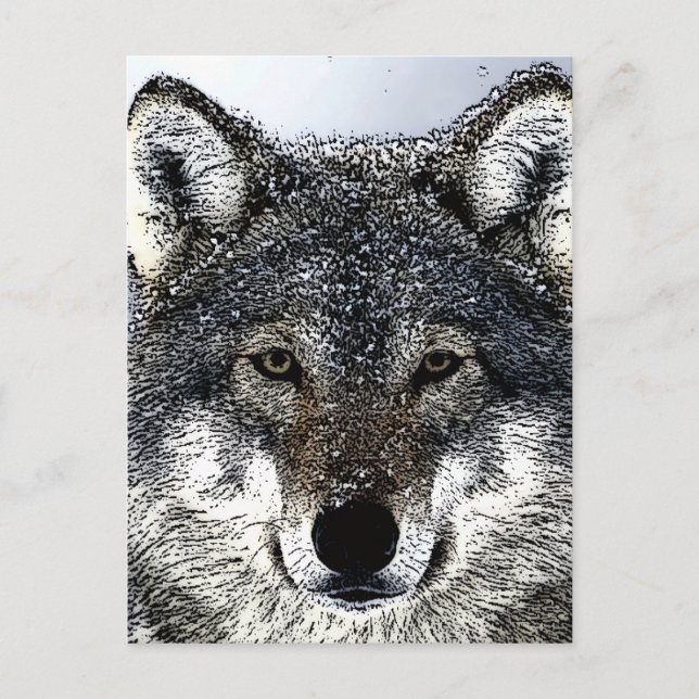 Carte Postale Wolf Eyes (Devant)