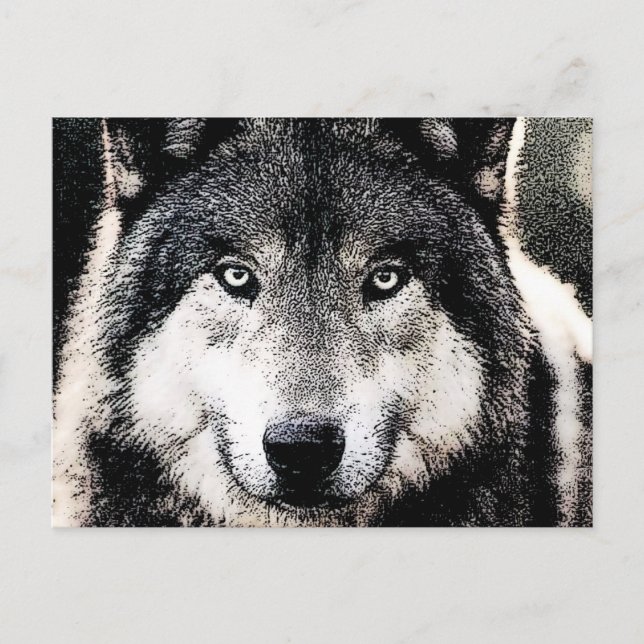 Carte Postale Wolf Eyes (Devant)