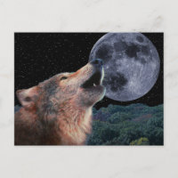 Wolf Howling à la Pleine lune - Multi-Produits-02