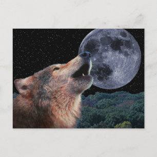 Carte Postale Wolf Howling à la Pleine lune - Multi-Produits-02