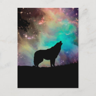 Carte Postale Wolf hurle à l'univers