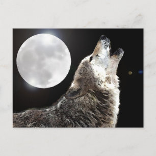 Carte Postale Wolf & Moon