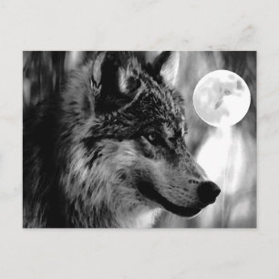 Carte Postale Wolf & Moon