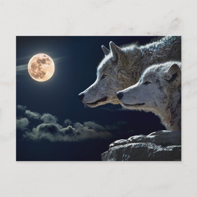 Carte Postale Wolf Pair Lune Nuit Imaginaire gothique (Devant)