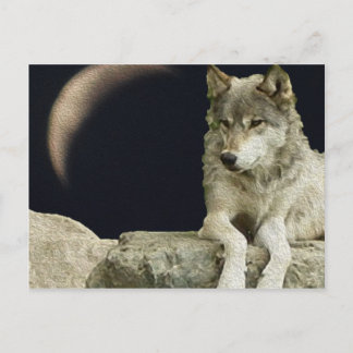 Carte Postale Wolf Relaxant