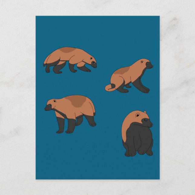 Carte Postale Wolverines (Devant)