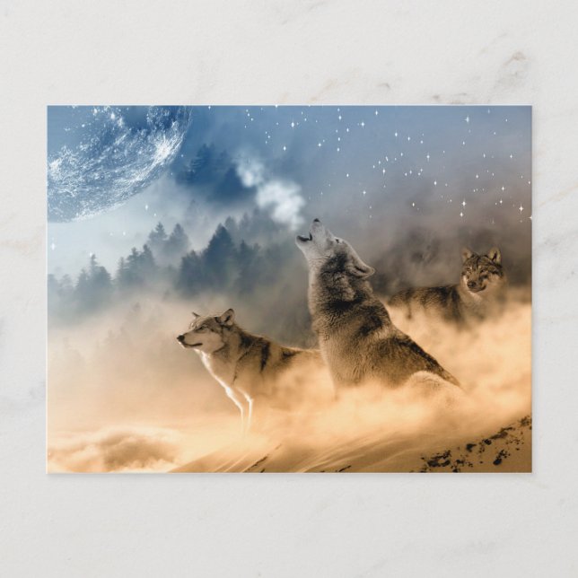 Carte Postale Wolves Moon Fog Nature Paysage (Devant)