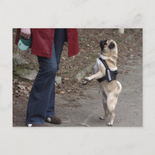 Carte Postale Womanizer