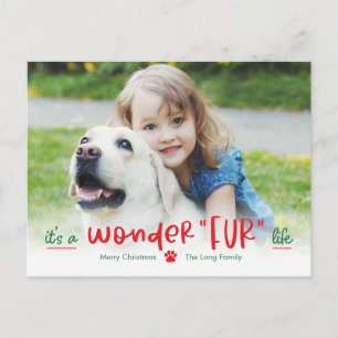 Carte postale Wonderfur Life Pet Holiday