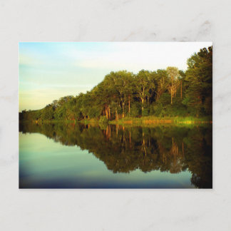 Carte Postale Wonderland