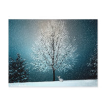 Wonderland d'hiver avec lapin