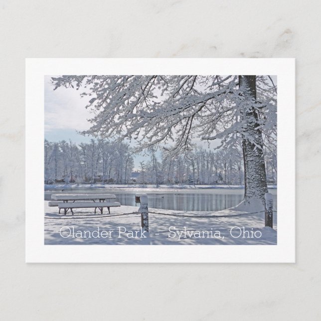 CARTE POSTALE WONDERLAND/OLANDER PARK/SYLVANIE, OHIO POSTC (Devant)