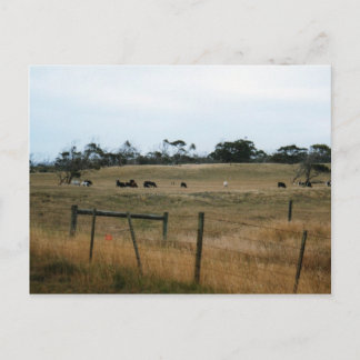 Carte Postale Wonthaggi