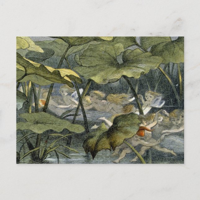 Carte Postale Wood Elves at Play, illustration de "In Fairylan (Devant)