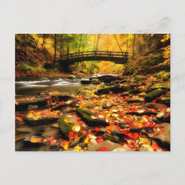Carte Postale Wooden Bridge and Creek (Devant)