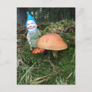 Carte Postale Woodland Gnome