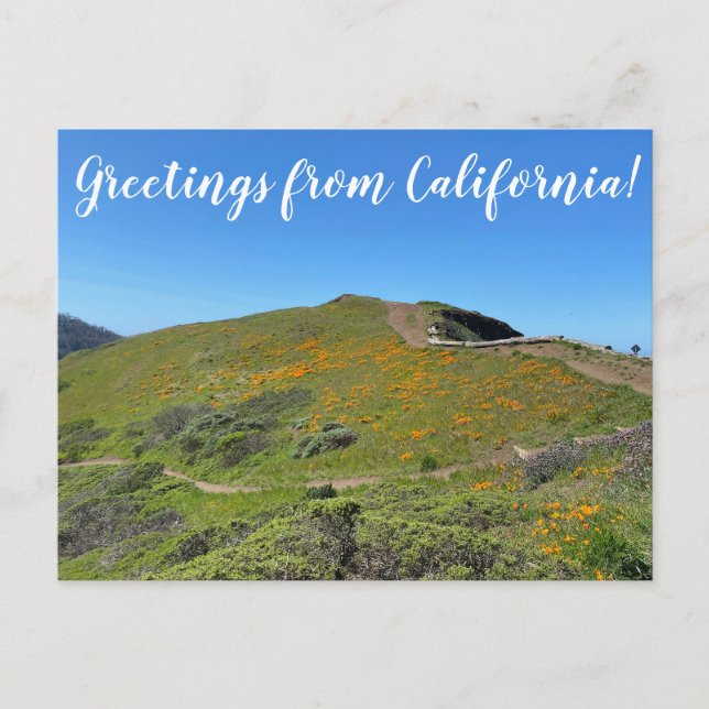Carte Postale World2Celebrate : Salutations de San Francisco! (Devant)
