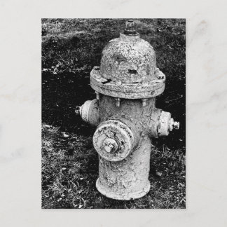 Carte Postale Worn Chipped Rusty Old Fire Hydrant Photo