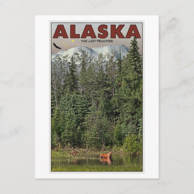 Carte Postale Wrangell-St Elias - La dernière frontière (Devant)