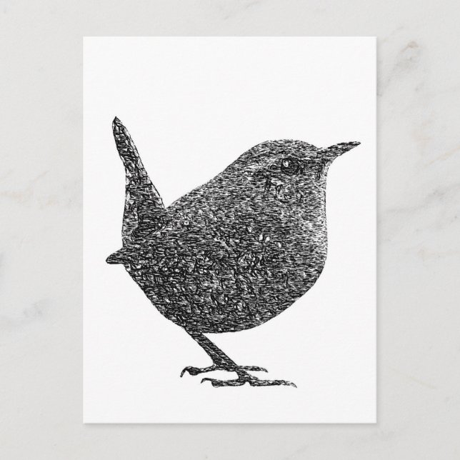 Carte Postale Wren (noir et blanc) (Devant)