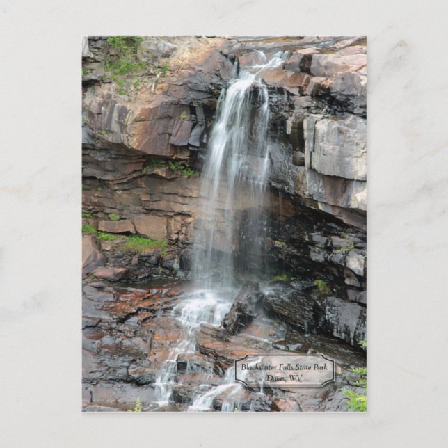 Carte postale WV Blackwater Falls Davis (Devant)