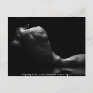 Carte Postale www.pedroguillenfalcon.com