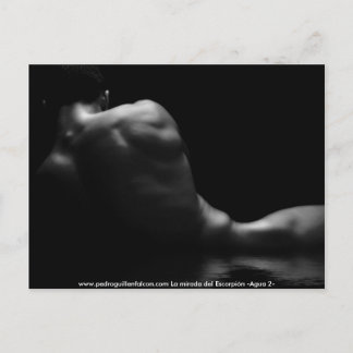 Carte Postale www.pedroguillenfalcon.com