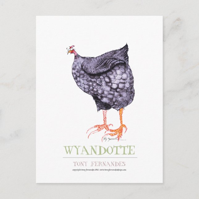 Carte Postale WYANDOTTE HEN, tony fernandes (Devant)