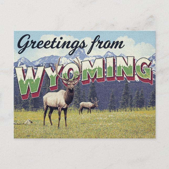 Carte Postale Wyoming Elk Grand Teton Mountains (Devant)