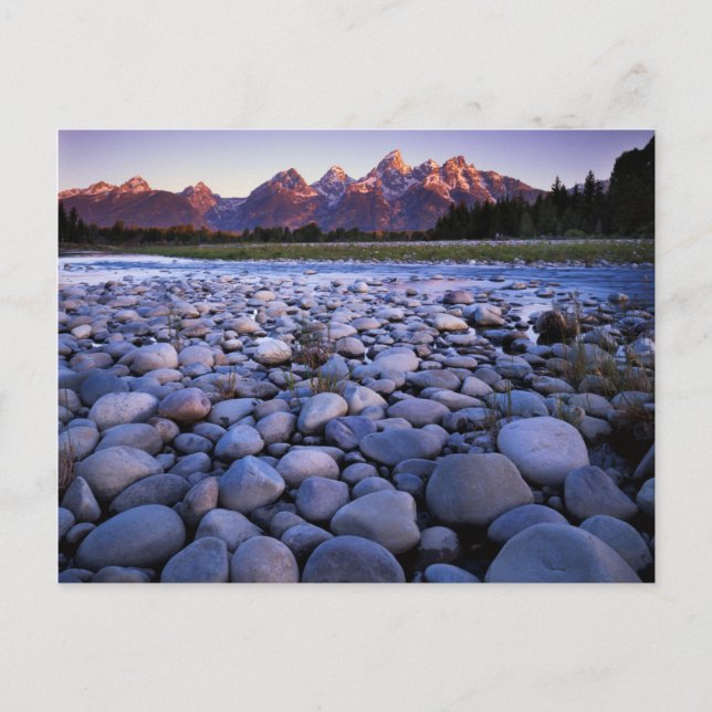 Carte Postale Wyoming, Parc national de Teton, Snake River (Devant)