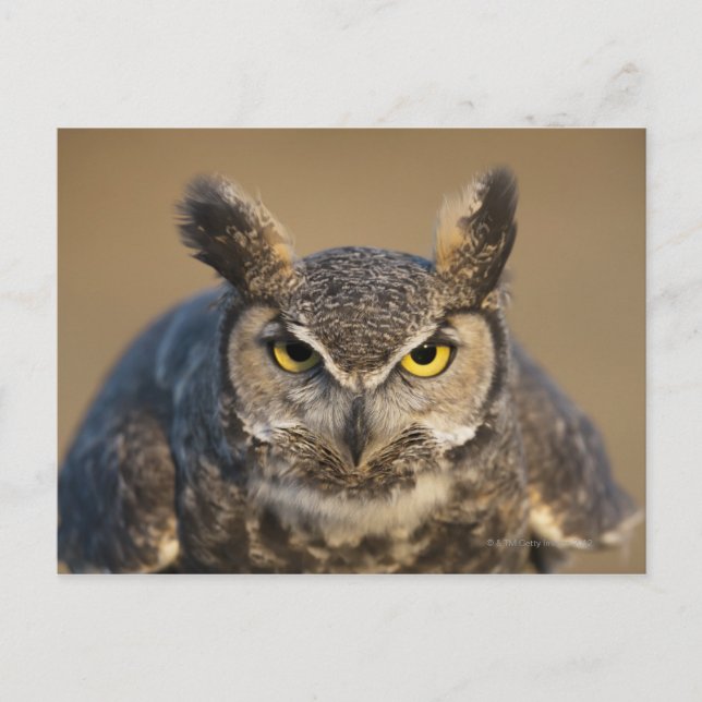 Carte Postale wyoming, usa (Devant)