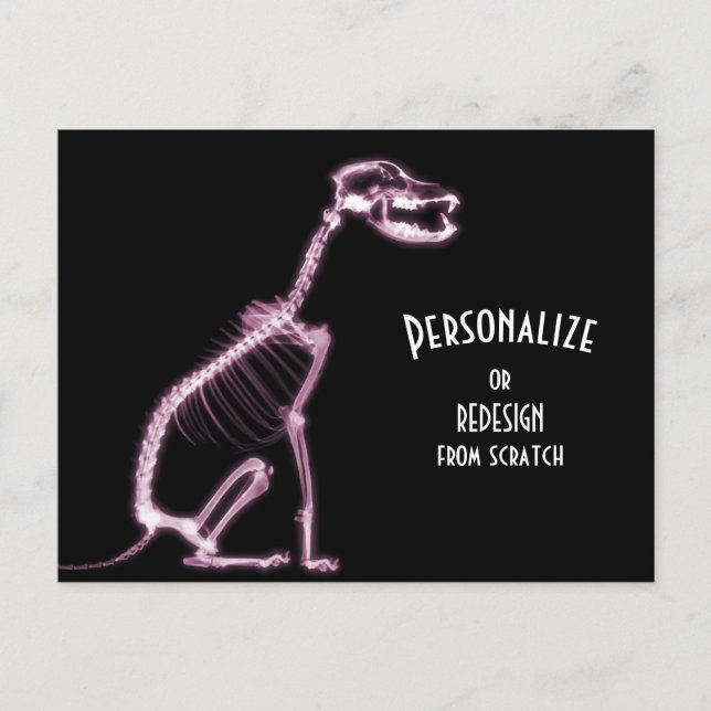 Carte Postale X-Ray Skeleton Dog - Rose (Devant)