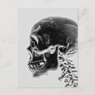 Carte Postale X-Ray Skull