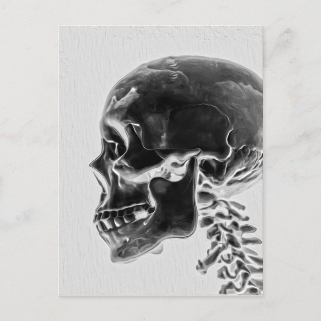 Carte Postale X-Ray Skull (Devant)