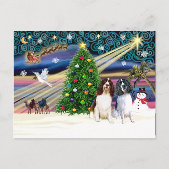 Carte Postale Xms Magic-2EngSpringer LivWht+Blk (Devant)