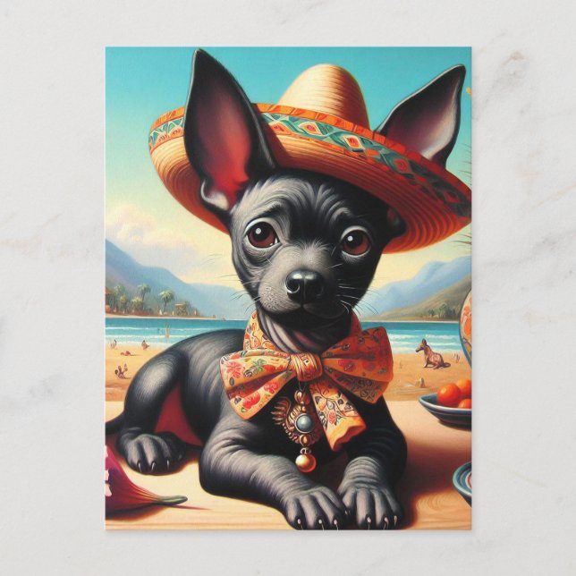 Carte Postale Xoloitzcuintle vintage (Devant)