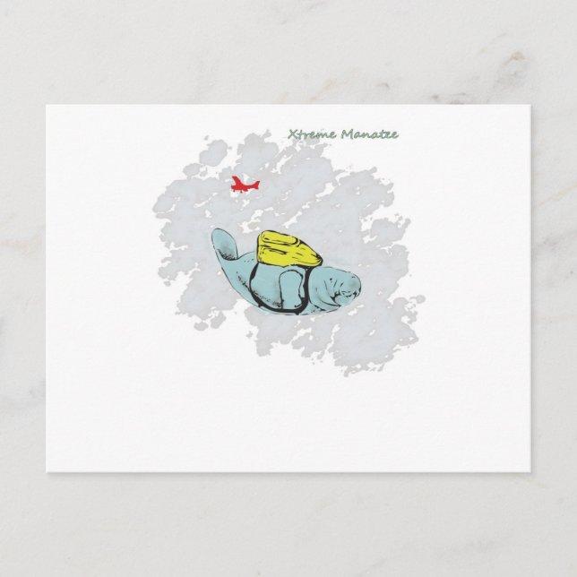 Carte Postale Xtreme Manatee Skydiving (Devant)