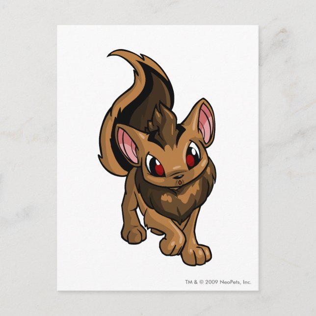 Carte Postale Xweetok Brown (Devant)