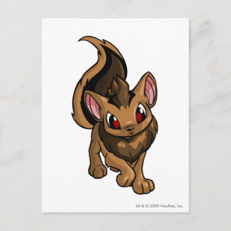 Carte Postale Xweetok Brown