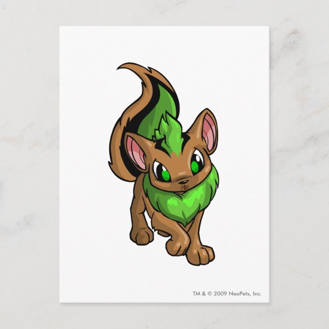 Carte Postale Xweetok Green (Devant)