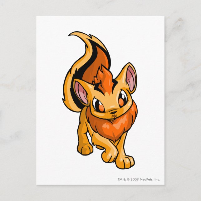 Carte Postale Xweetok Orange (Devant)