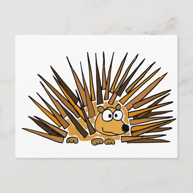 Carte Postale XX- Caricature d'art Porcupine (Devant)